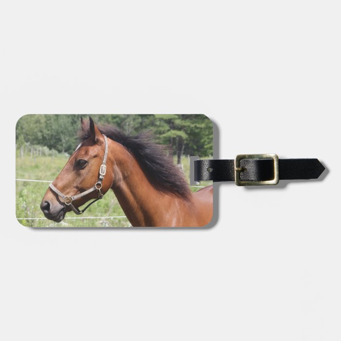 Horse Luggage Tag