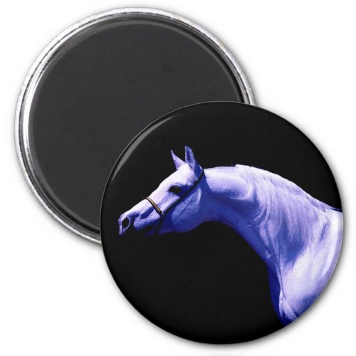 Horse Magnet