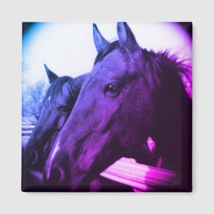 Horse Magnet - Purple