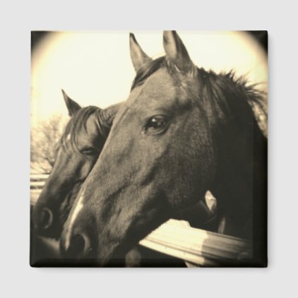 Horse Magnet - Sepia