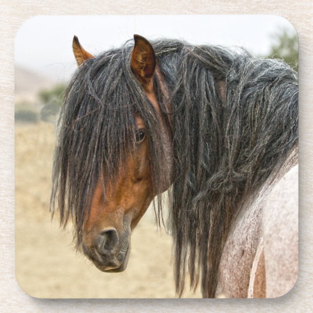 Horse Mane Beverage Coaster (Front)