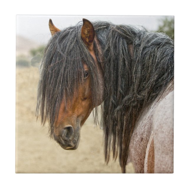Horse Mane Ceramic Tile (Front)