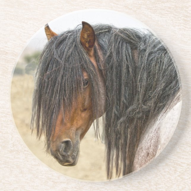 Horse Mane Coaster (Front)