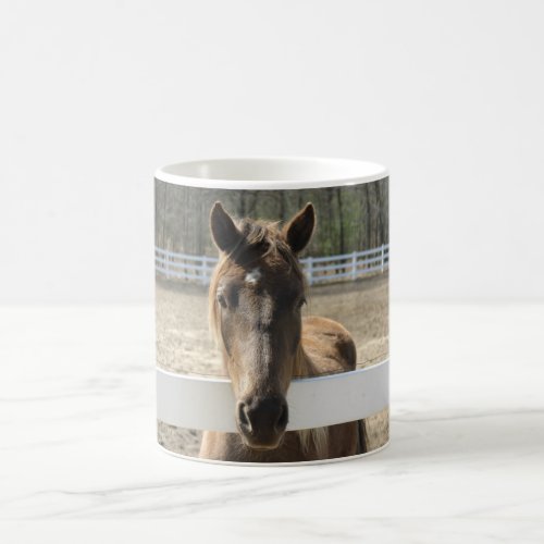 Horse Meets You at the Fence Coffee Mug