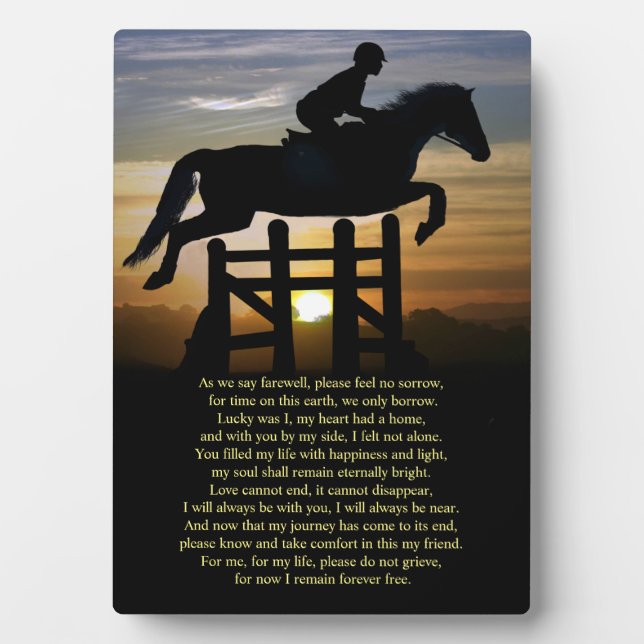 Horse Memorial Hunter Jumper Horse and Rider Plaque (Front)