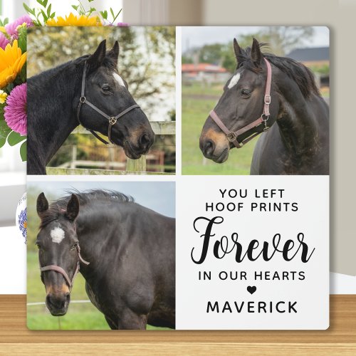 Horse Memorial Personalized 3 Pet Photo Collage Plaque
