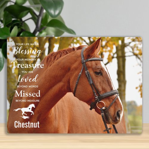 Horse Memorial Pet Loss Remembrance Horse Photo Plaque
