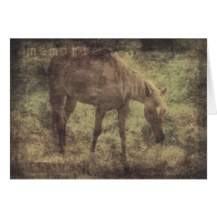 Horse Memories Grunge Cards