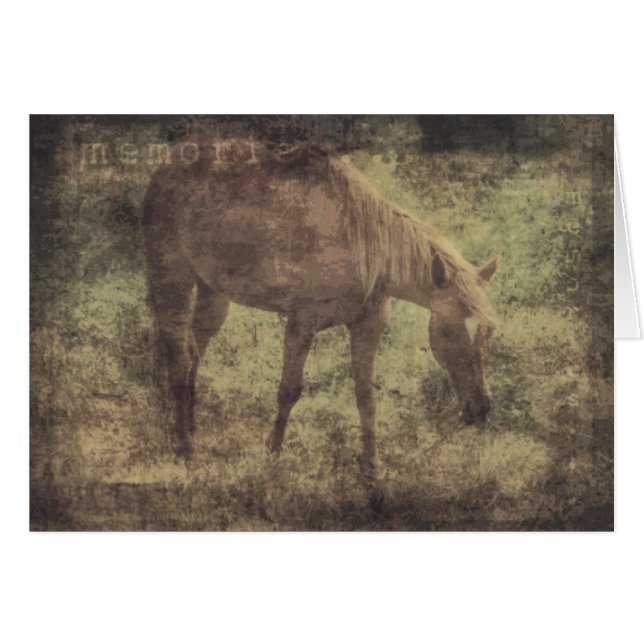 Horse Memories Grunge Cards (Front Horizontal)