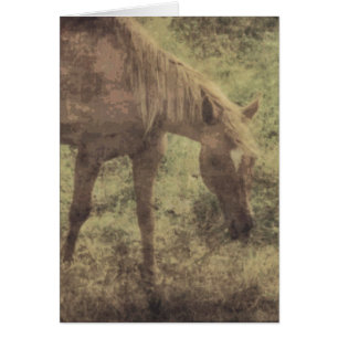 Horse Memories Grunge Cards