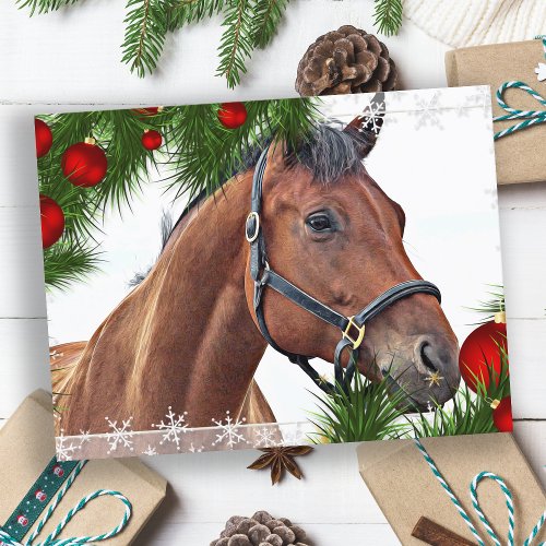 Horse Merry Christmas Equine Cute Pony Equestrian Holiday Postcard