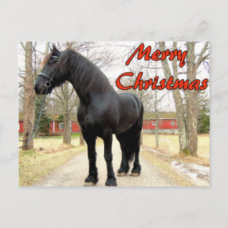 Horse Merry Christmas.jpg Holiday Postcard