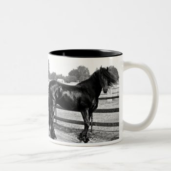 Horse Modelling Two-tone Coffee Mug by laureenr at Zazzle