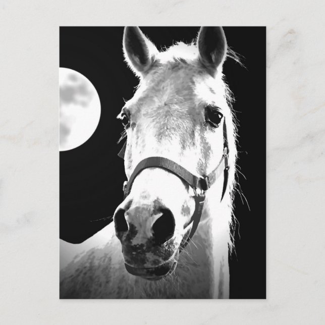 Horse & Moon Postcard (Front)