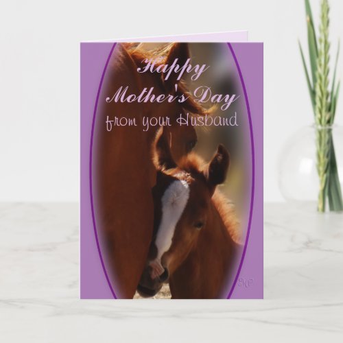 Horse Mothers Day 2 from Husband_ or any occasion Card