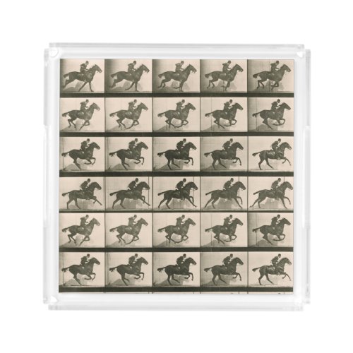 Horse Motion Vintage Photography Acrylic Tray