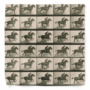 Horse Motion Vintage Photography Bandana