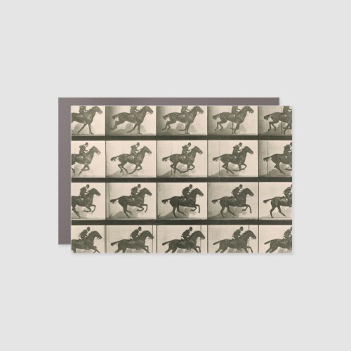 Horse Motion Vintage Photography Car Magnet