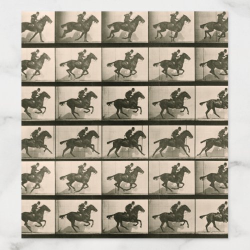 Horse Motion Vintage Photography Envelope Liner