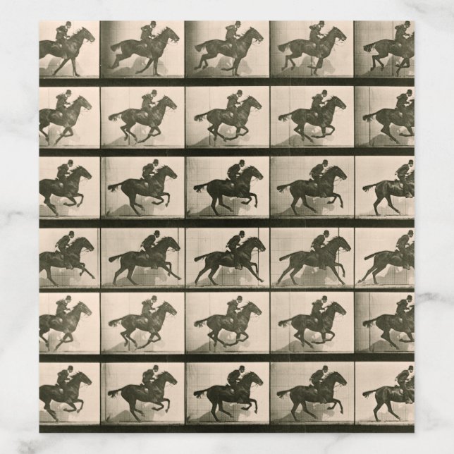 Horse Motion Vintage Photography Envelope Liner (Design)
