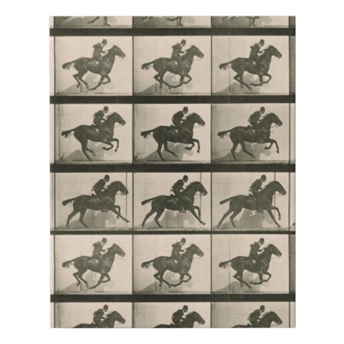 Horse Motion Vintage Photography Faux Canvas Print