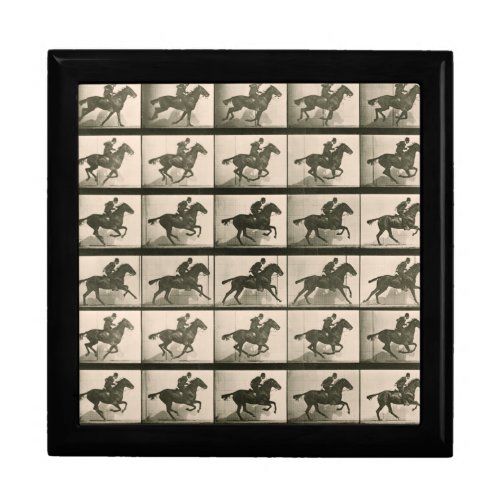 Horse Motion Vintage Photography Gift Box