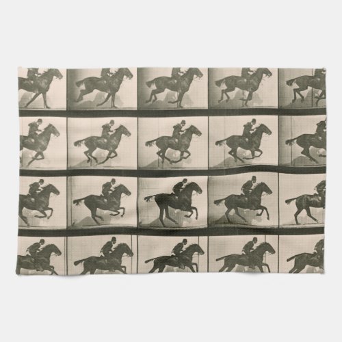 Horse Motion Vintage Photography Kitchen Towel