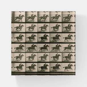 Horse Motion Vintage Photography Paperweight