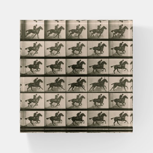 Horse Motion Vintage Photography Paperweight