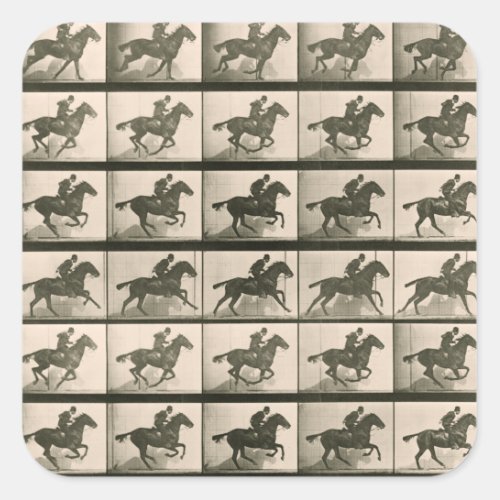 Horse Motion Vintage Photography Square Sticker