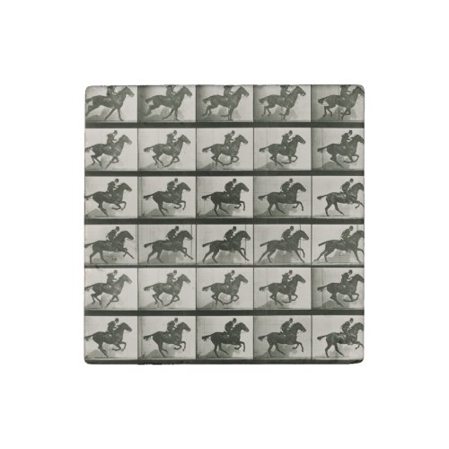 Horse Motion Vintage Photography Stone Magnet