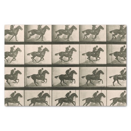 Horse Motion Vintage Photography Tissue Paper