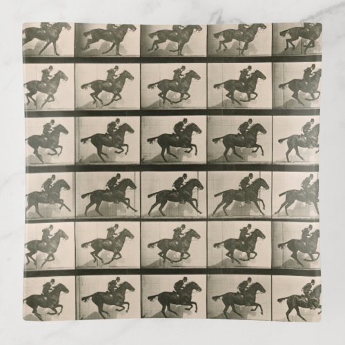 Horse Motion Vintage Photography Trinket Tray