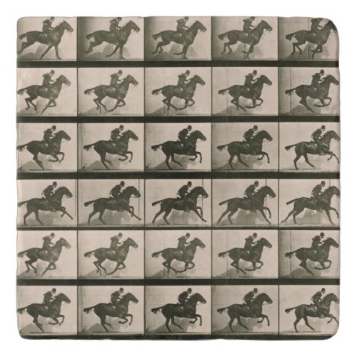 Horse Motion Vintage Photography Trivet