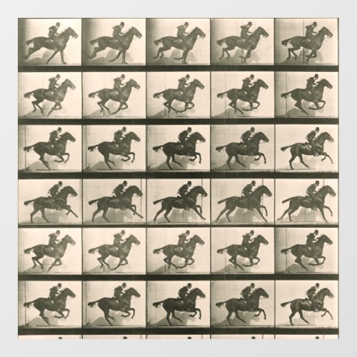 Horse Motion Vintage Photography Window Cling