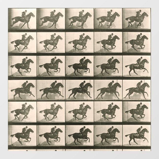 Horse Motion Vintage Photography Window Cling (Sheet)