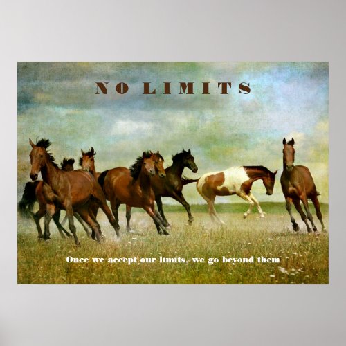 Horse Motivational Inspirational No Limits Quote Poster