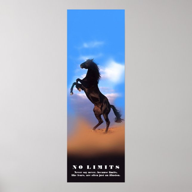 Horse Motivational No Limits No Fear Artwork Poster (Front)