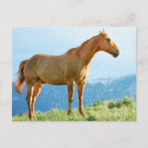 *~* Horse - Mountains Hill AR22 Equine Watercolor Postcard