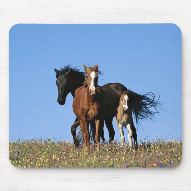 horse mouse pad (Front)