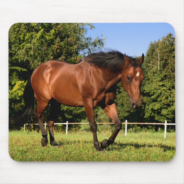Horse Mouse Pad (Front)