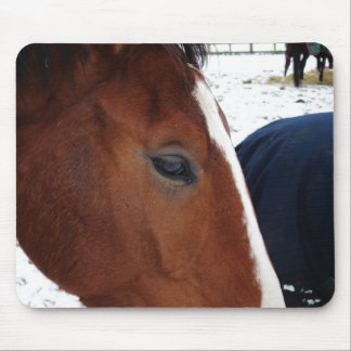 Horse mousemat mouse pad