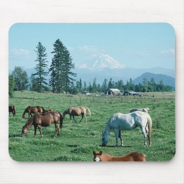 Horse Mousepad (Front)