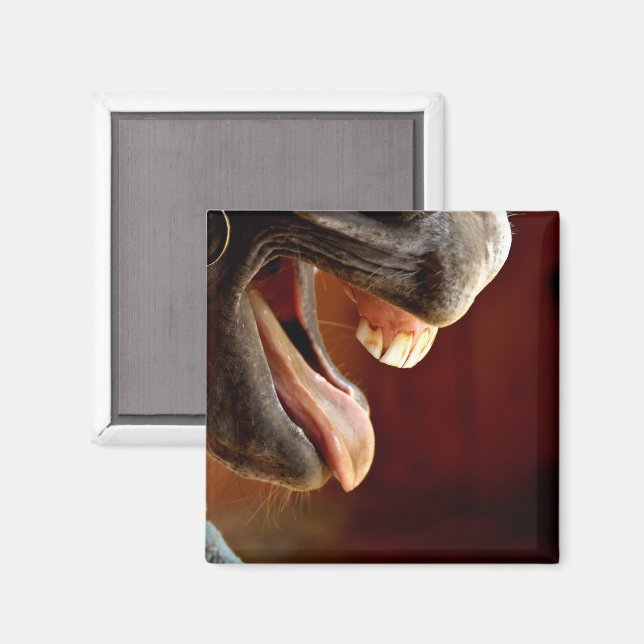 Horse, Mouth Open, Tongue Sticking Out, Teeth Magnet (Front/Back)