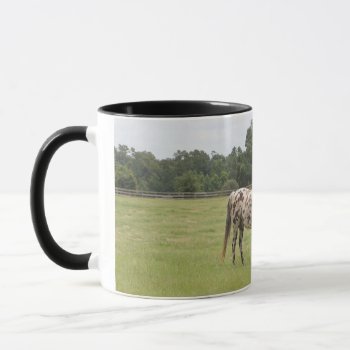 Horse Mug by horsesense at Zazzle
