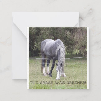 Horse 'n fence! postcard