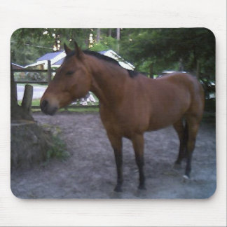 Horse named Cruz Mouse Pad