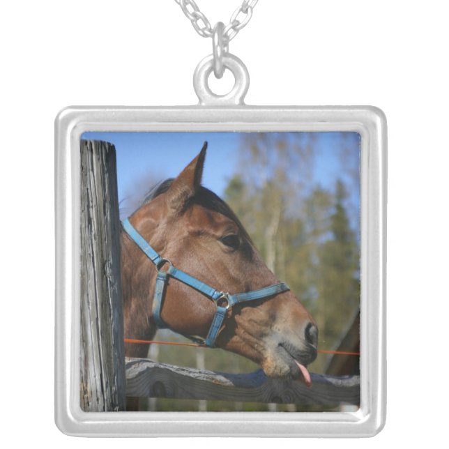 Horse necklace (Front)