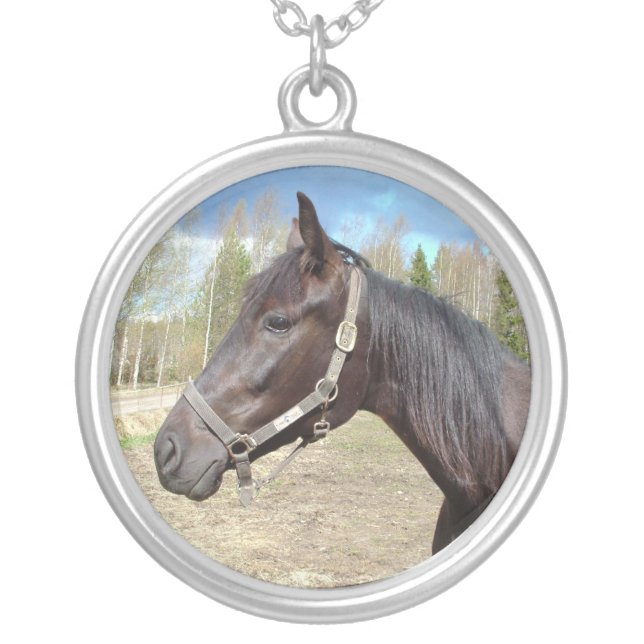 Horse necklace (Front)