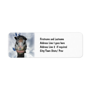 Horse Nose Knows! Funny Smiling Horse Label